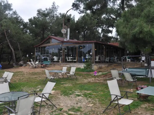 Teos Park Restaurant Bar'nin yemek ve ambiyans fotoğrafları 6