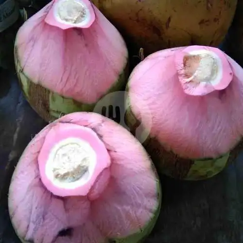 Gambar Makanan Es Kelapa Muda Kamemeut Jaya 13