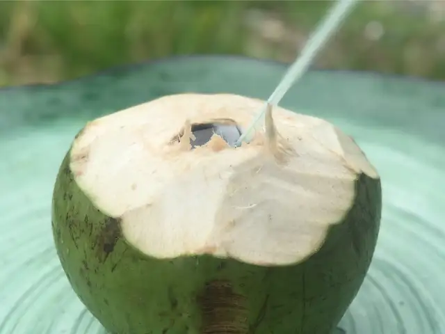 Coconut Shake Paya (Beseri)