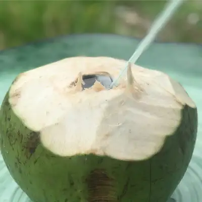Coconut Shake Paya (Beseri)
