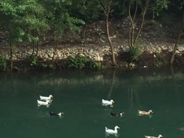 Kemer 12'nin yemek ve ambiyans fotoğrafları 18