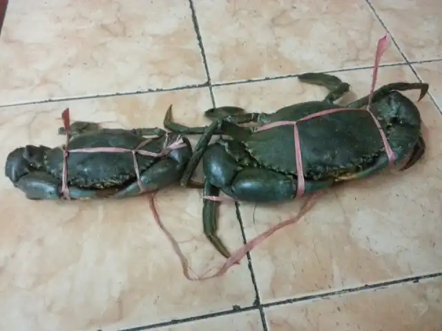 Gambar Makanan Mr. Crabs 9