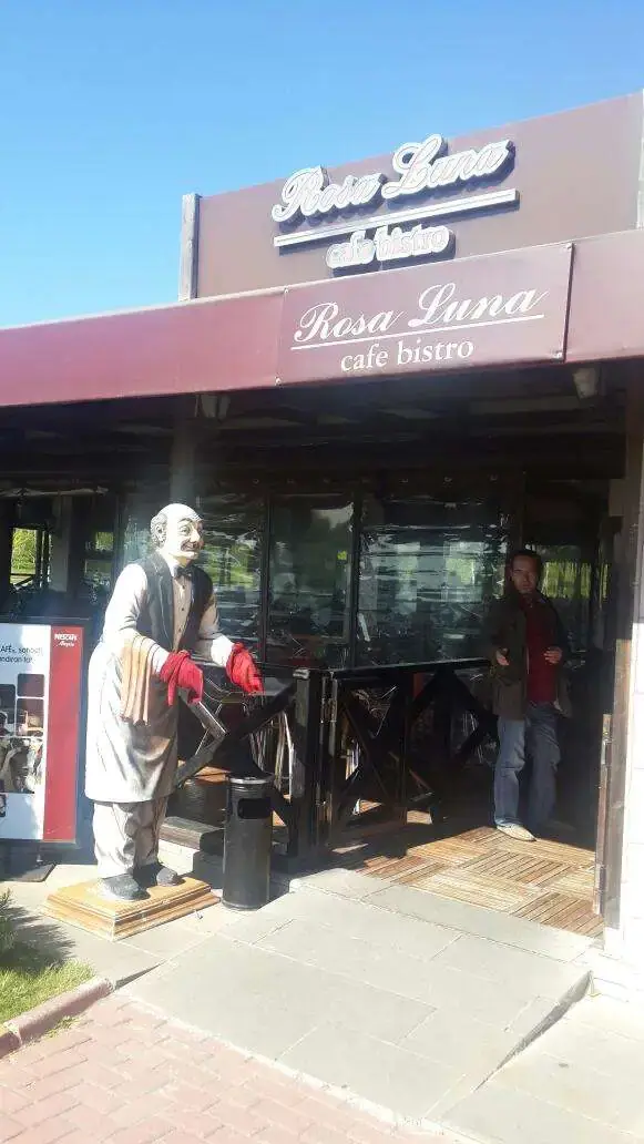 Rosa Luna Cafe & Bistro'nin yemek ve ambiyans fotoğrafları 7