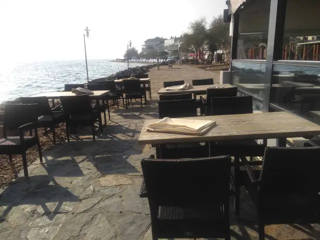 Mimoza Restaurant'nin yemek ve ambiyans fotoğrafları 8