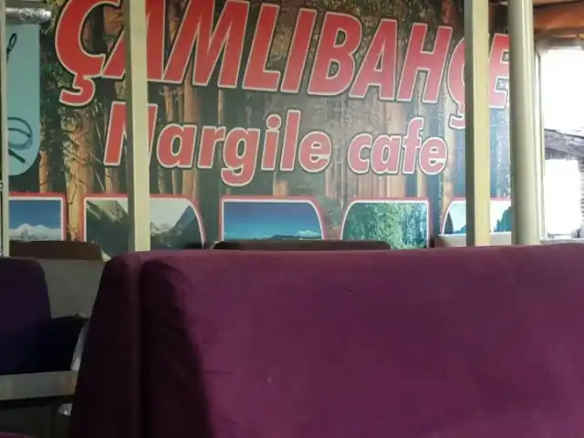 camlibahce nargile cafe'nin yemek ve ambiyans fotoğrafları 3