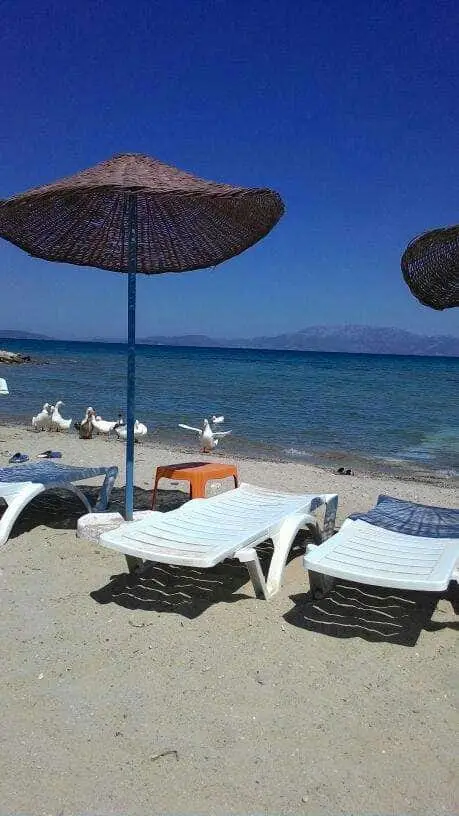 Star Beach'nin yemek ve ambiyans fotoğrafları 17