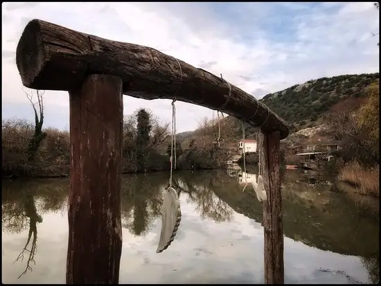 Ağva Greenline Restaurant'nin yemek ve ambiyans fotoğrafları 2