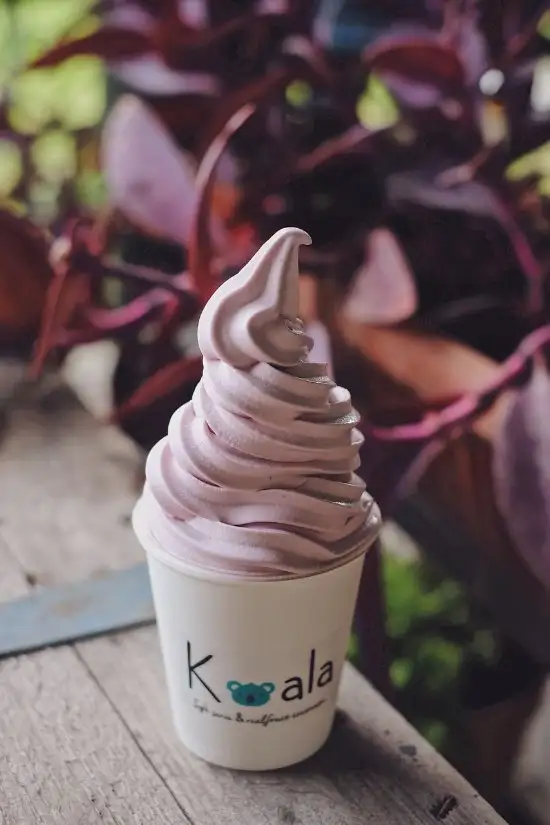Gambar Makanan Koala Softserve Ice Cream 16