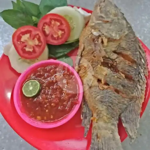 Gambar Makanan Lalapan Felina, Lowokwaru 7