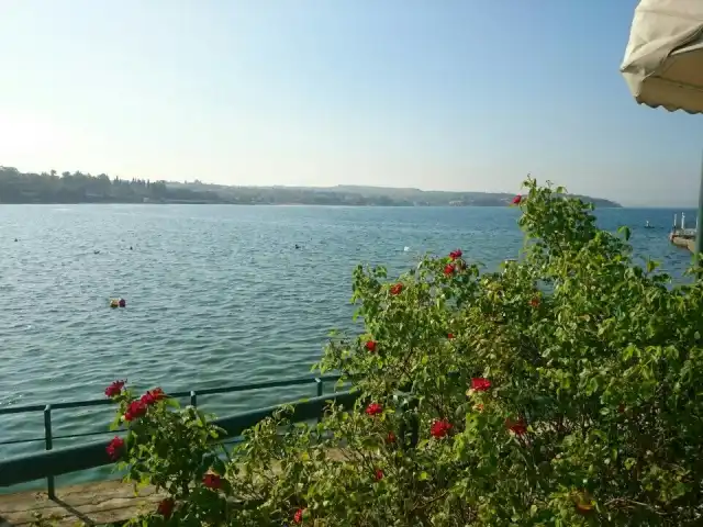 Garden Restaurant'nin yemek ve ambiyans fotoğrafları 4