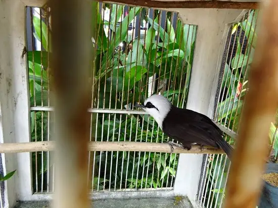 Gambar Makanan Kedai Tiga Nyonya 3