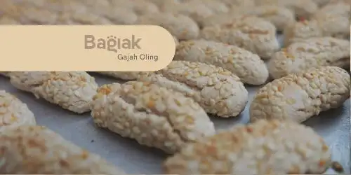 Bagiak Gajah Oling