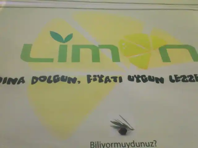 Limon Cafe'nin yemek ve ambiyans fotoğrafları 10