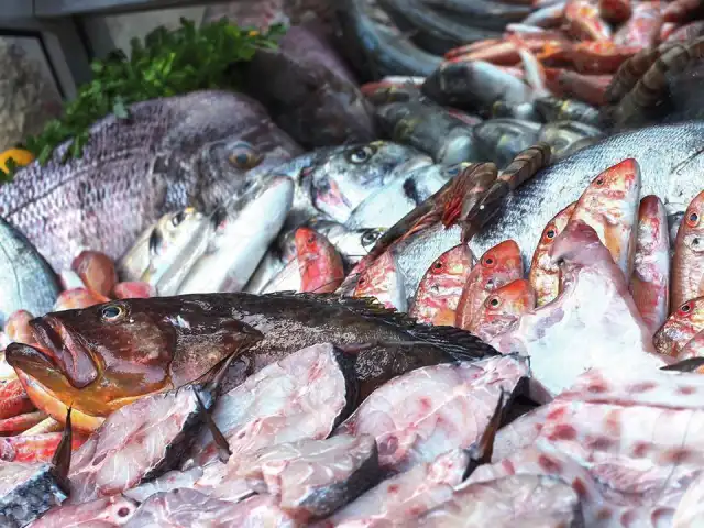 Şerefe Balık'nin yemek ve ambiyans fotoğrafları 37