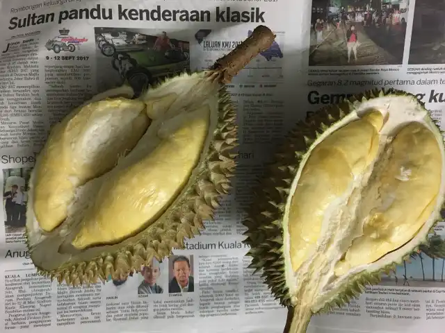 Donald's Durian Food Photo 10