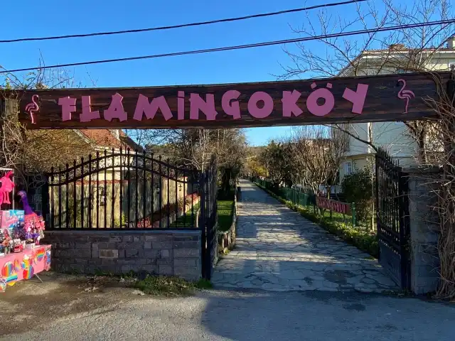 Flamingo Köy'nin yemek ve ambiyans fotoğrafları 6