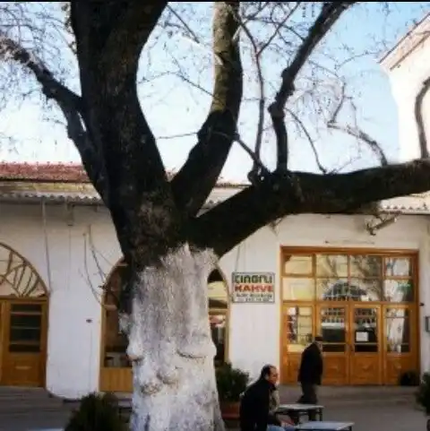 ÇINAR CAFE BERGAMA KAPALI ÇARŞI'nin yemek ve ambiyans fotoğrafları 5