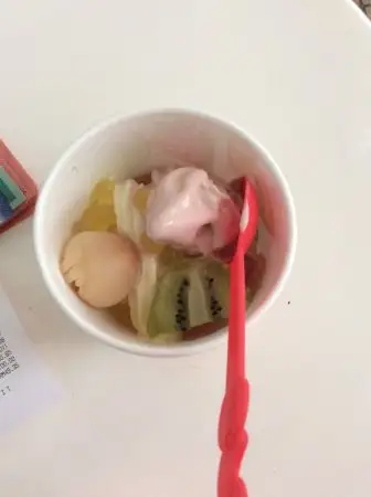 Tutti Frutti Frozen Yogurt