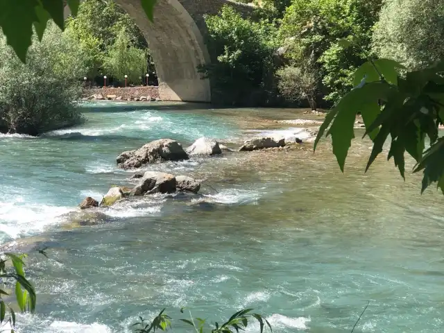 Şeker Pınarı Et-mangal'nin yemek ve ambiyans fotoğrafları 15