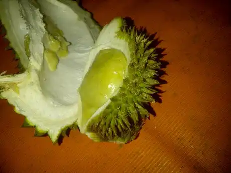 Gambar Makanan Bukit Durian 6