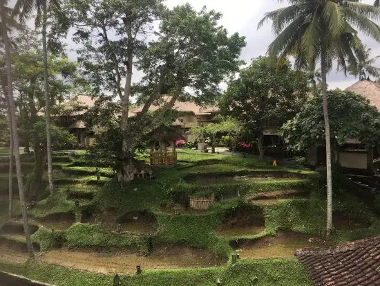 Gambar Makanan Petulu Restaurant at the Kamandalu Ubud 10