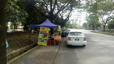 HONA Nasi Lemak Pandan