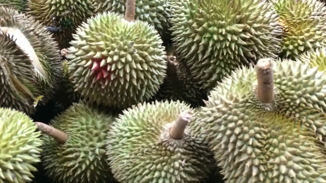 Kedai Buah 1