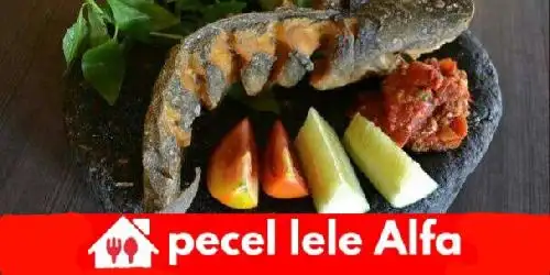 Pecel Lele Alfa, Daendeles