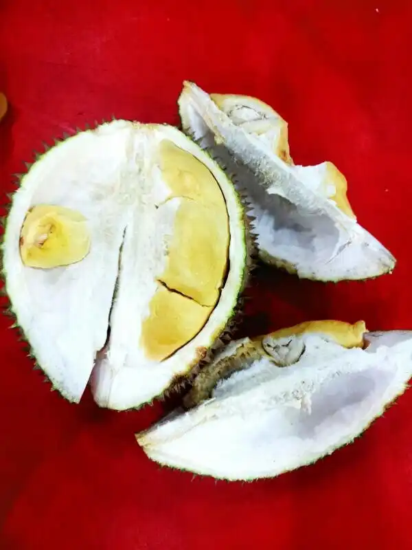 Donald's Durian Food Photo 7