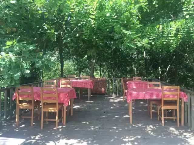 Yeşil Vadi Kuzina Piknik