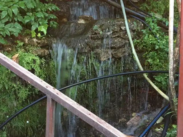 Geyikbayiri Pinarbaşi Restaurant'nin yemek ve ambiyans fotoğrafları 5