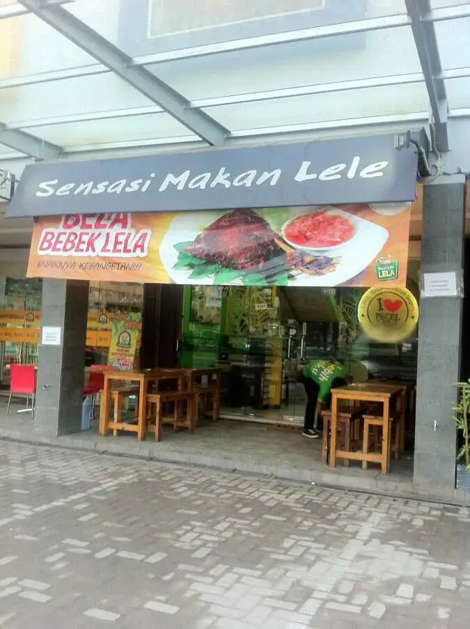 Pecel Lele Lela