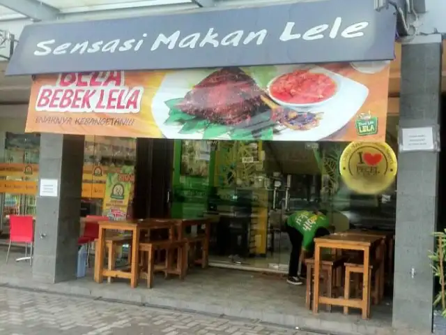 Gambar Makanan Pecel Lele Lela 13