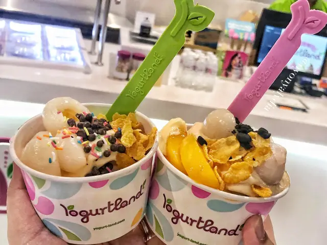 Gambar Makanan Yogurtland 11