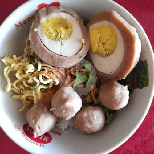 Gambar Makanan Bakso Mieayam Gendut Angkatan 45 9