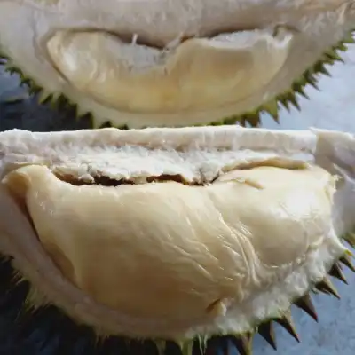 Bentong Durian Stall