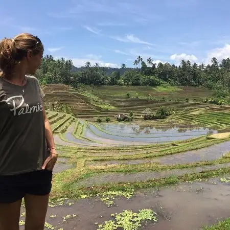 Gambar Makanan Warung Tepi Sawah 11