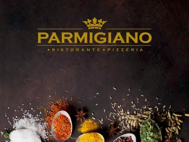 Parmigiano Food Photo 2