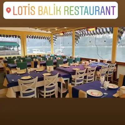 Lotis Balık Restaurant'nin yemek ve ambiyans fotoğrafları 6