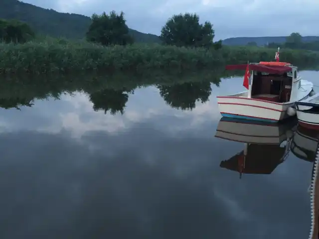 Değirmen Bahçe Et Mangal'nin yemek ve ambiyans fotoğrafları 2