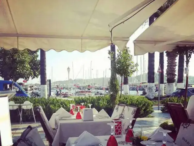Marina Yacht Club Restaurant'nin yemek ve ambiyans fotoğrafları 4