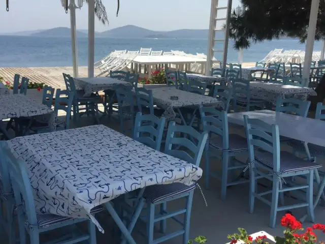 Teos Beach Club'nin yemek ve ambiyans fotoğrafları 10