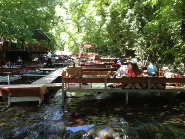 Botanik Restaurant'nin yemek ve ambiyans fotoğrafları 10