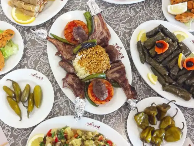 Meftune Turkish Kitchen'nin yemek ve ambiyans fotoğrafları 1