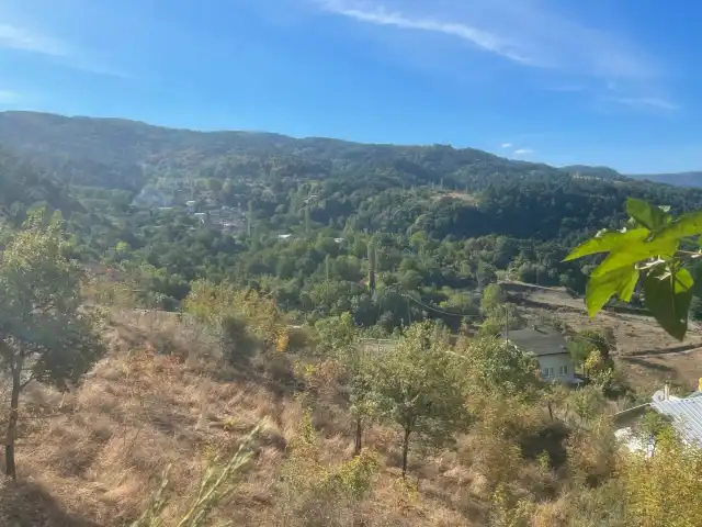 Günbatımı Kahvaltı ve Et Mangal Salonu'nin yemek ve ambiyans fotoğrafları 6