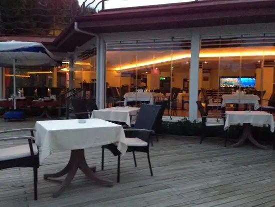 Ship Inn Marina Restaurant'nin yemek ve ambiyans fotoğrafları 41