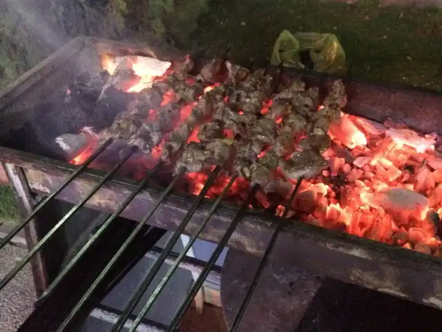 Osmangazi Kebap'nin yemek ve ambiyans fotoğrafları 10