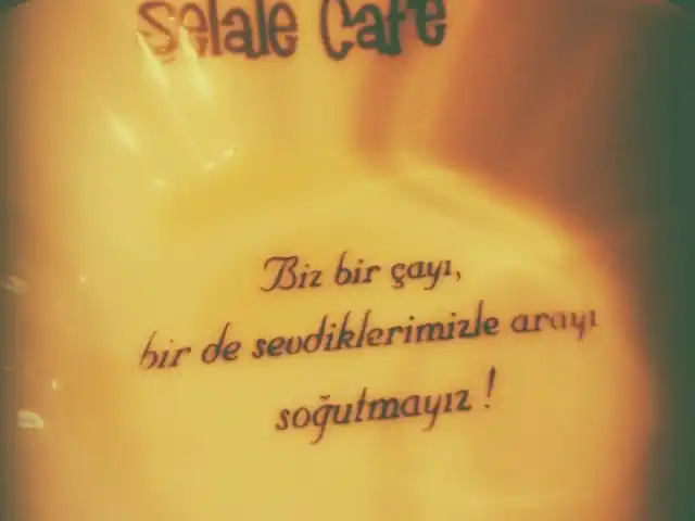 Şelale Cafe'nin yemek ve ambiyans fotoğrafları 5