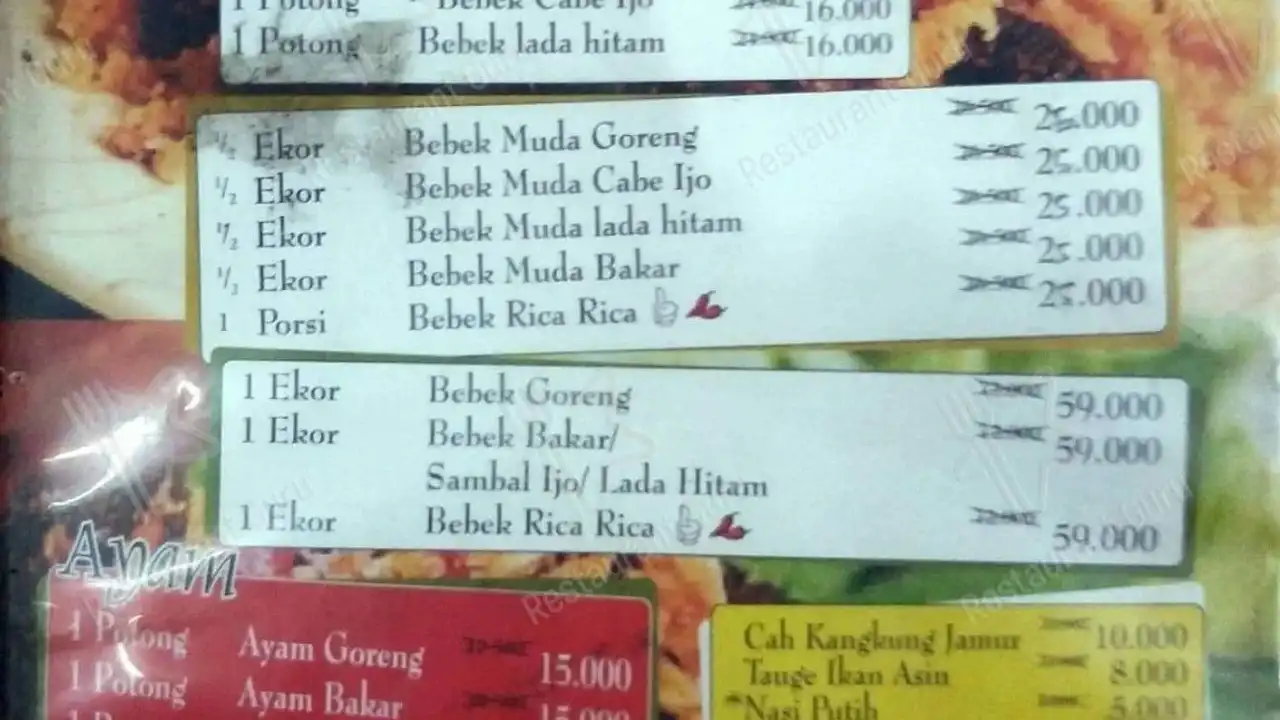 Bebek Salero- Serpong