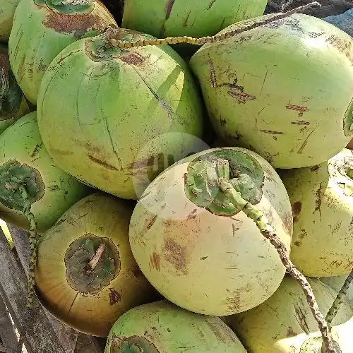 Gambar Makanan Kelapa Bakar JP , Seberang Gedung PWI 10